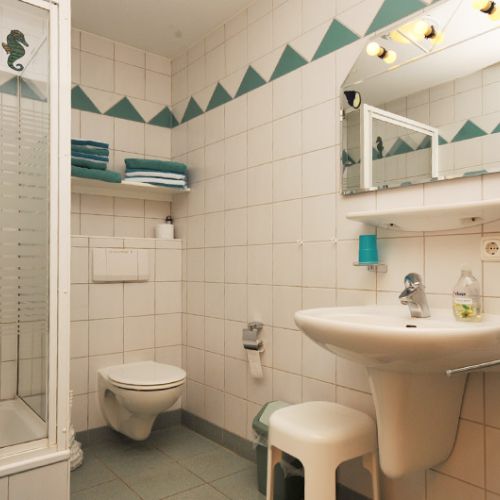 Badezimmer in der Ferienwohnung Schwalbennest