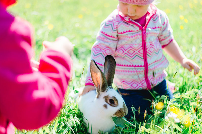 Kleine Kinder spielen mit einem Kaninchen auf der Wiese