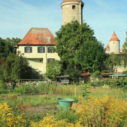 Umgebung Dinkelsbuehl Ausflugsziele Altmuehlhof